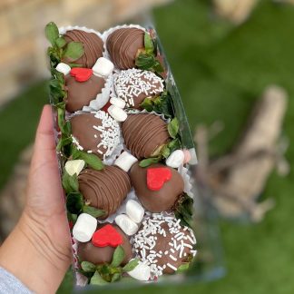 FRESAS CON CHOCOLATE
