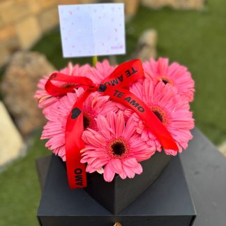 CORAZON LOVER GERBERAS