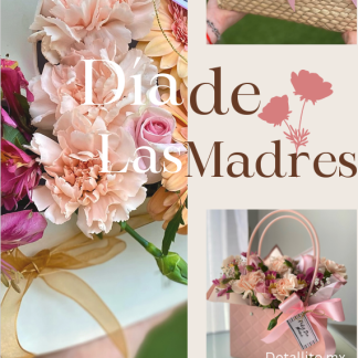 DIA DE LAS MADRES